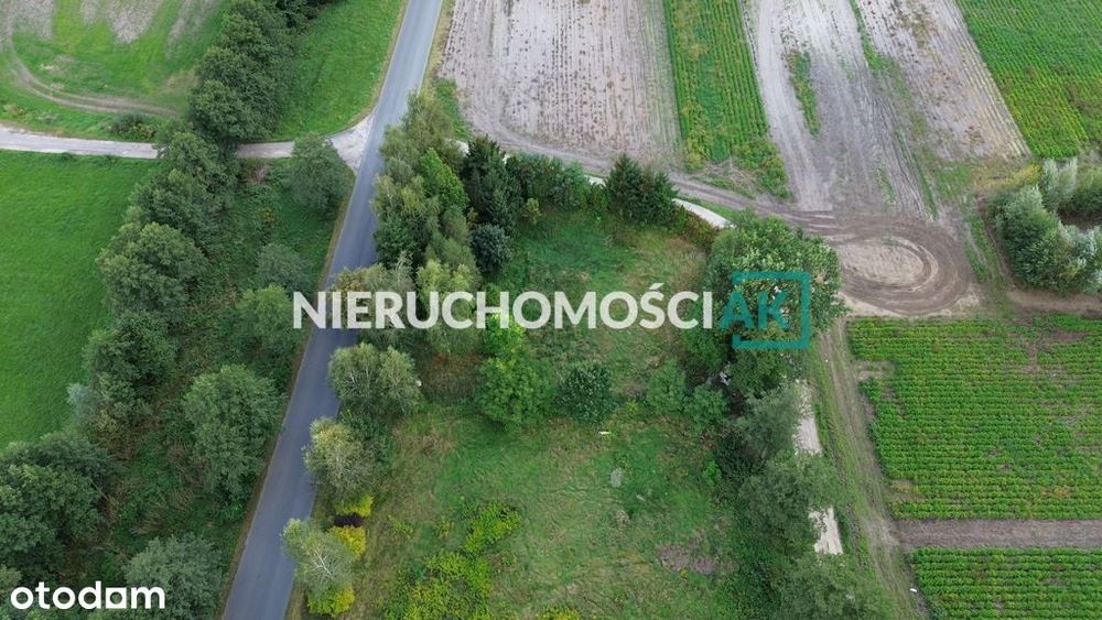 Glinno | Działka 1605 m² | Nowy Tomyśl - Widok 4