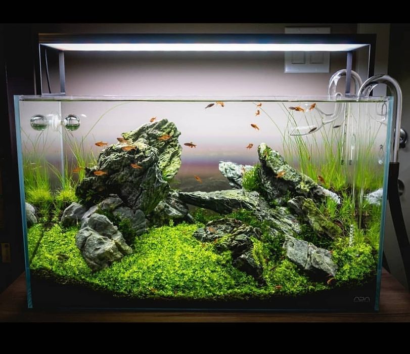 Обслуживание аквариумов.Услуги аквариумиста.