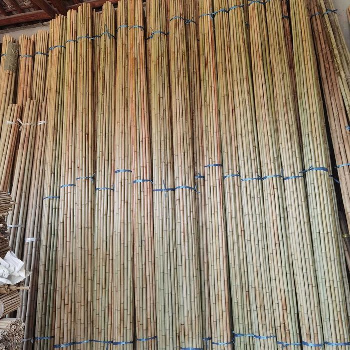 Tyczka Bambusowa 240 cm 20/22cm Bambus Tyczki bambusowe