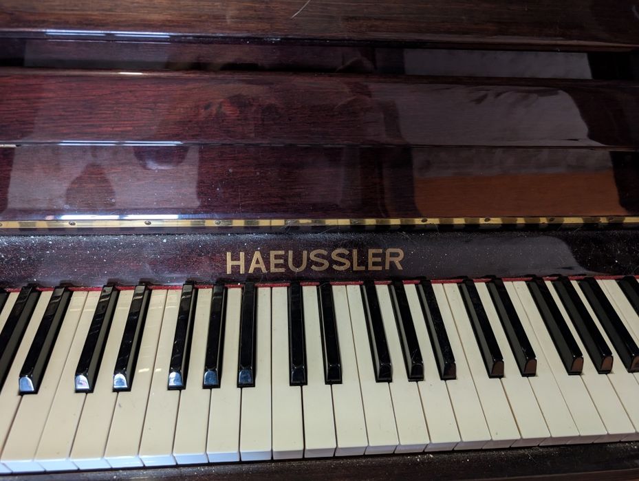Piano parado há anos marca Haeussler