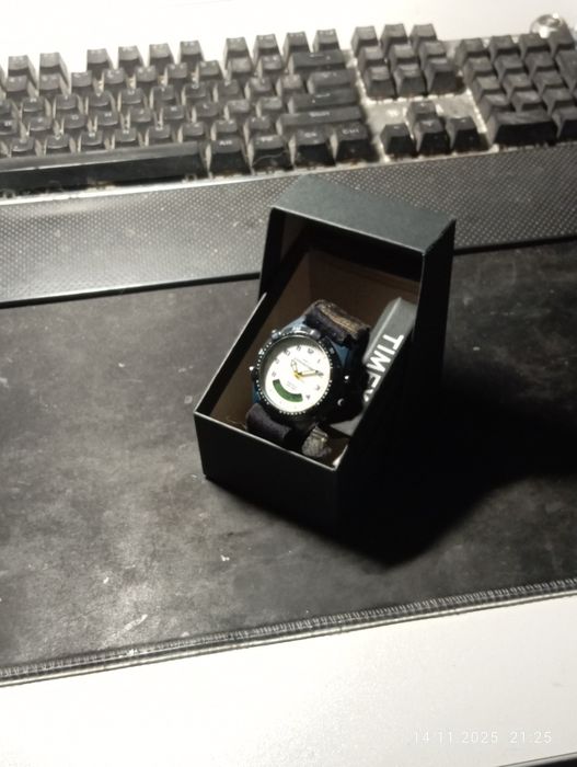 Zegarek Timex expedition
