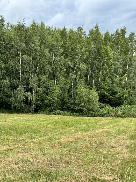 Działka rolno-leśna w Szymbarku