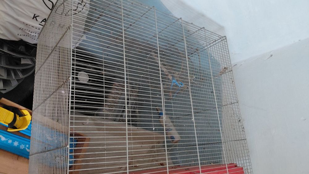 Продам клітку для папуг гризунів