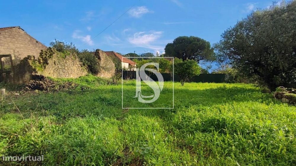Moradia Devoluta T3 Venda em Assentiz,Torres Novas