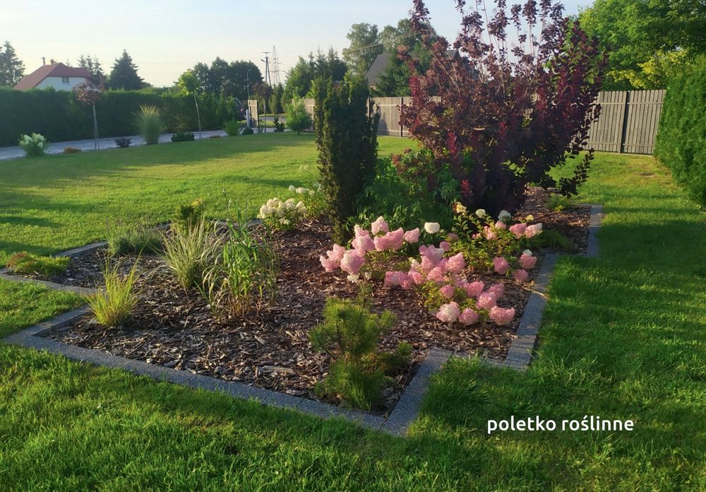 Montaż Sprzedaż Przydomowe oczyszczalnie Ścieków