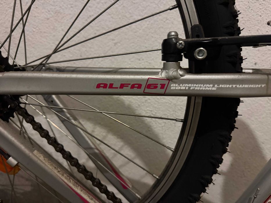 Bicicleta BERG senhora