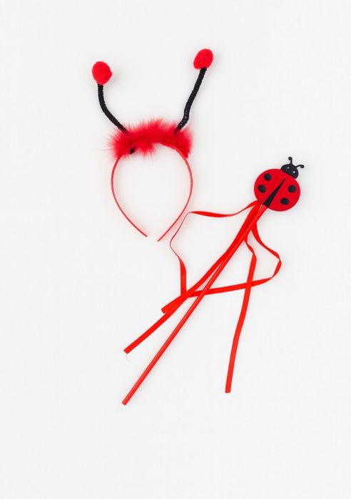 Super strój na karnawał dla dziewczynki biedronka