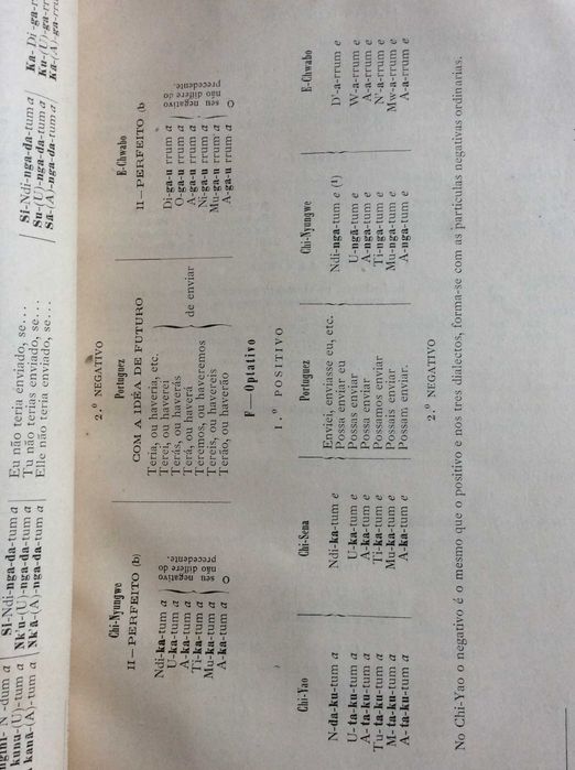 Pequeno vademecum da lingua bantu na Provincia de Moçambique...188?