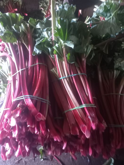 Rabarbar  pakowany po 5kg