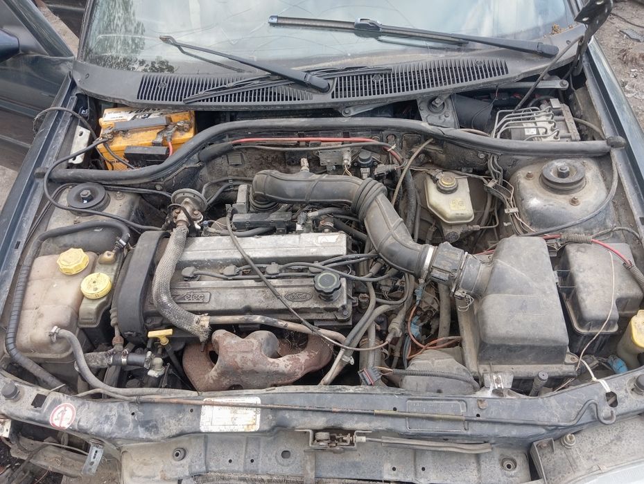 Все під капотом Форд Ескорт / Форд Ескорт мк5 1.6 Zetec універсал