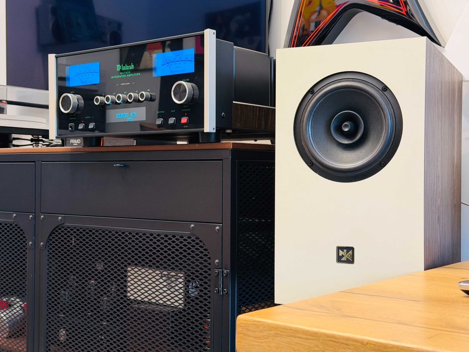 Novozhilov WideArc Compact — полочный широкополосник без кроссовера ℹ️ 6" SB Acoustics, авторский режекторный фильтр | украинская ручная сборка, новая