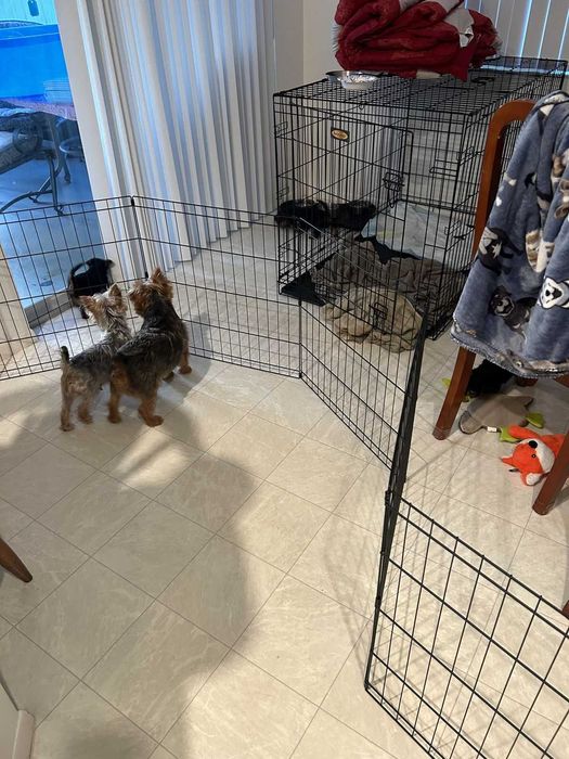 Клітка манеж с дверкой 180х60х76 см клетка для собак кошек щенков