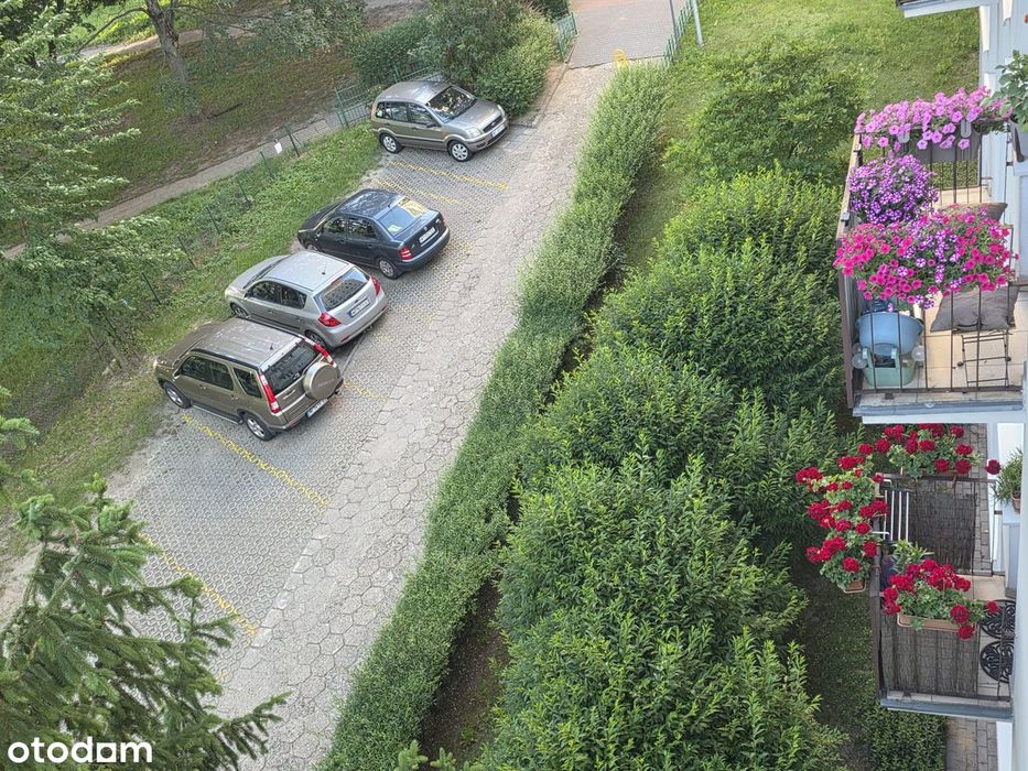 3 pokojowe jasne mieszkanie na Woli w świetnej lokalizacji - Widok 4