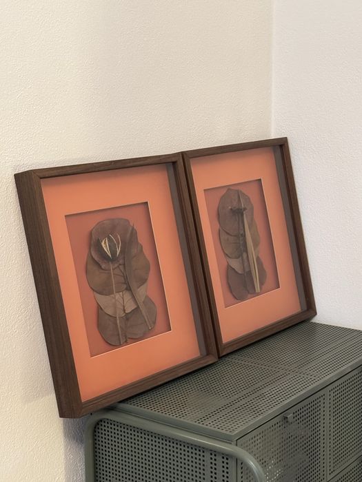 Decorative Frames442369222944368642