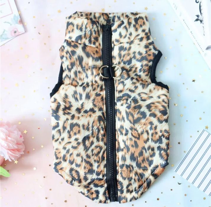 Одяг для котиків і песиків