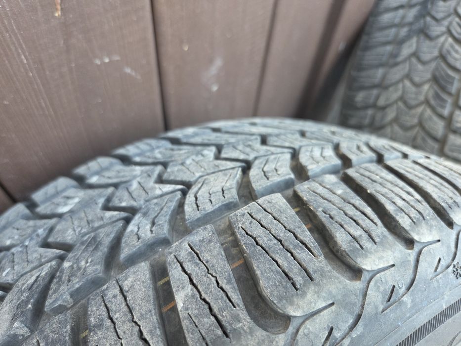 Opony zimowe Dębica frigo hp2  205/55r16