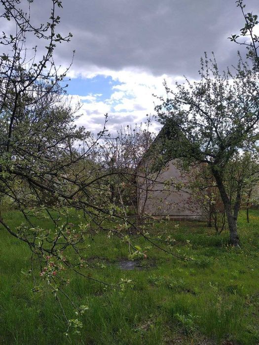 Земельна ділянка з дачним будинком в м. Заставна