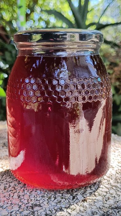 Mel puro do Apicultor