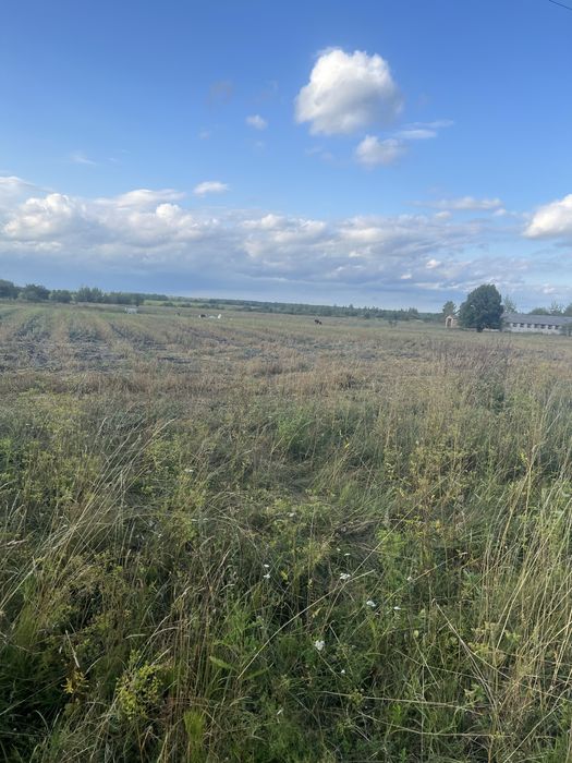Земельна ділянка с.Забороль