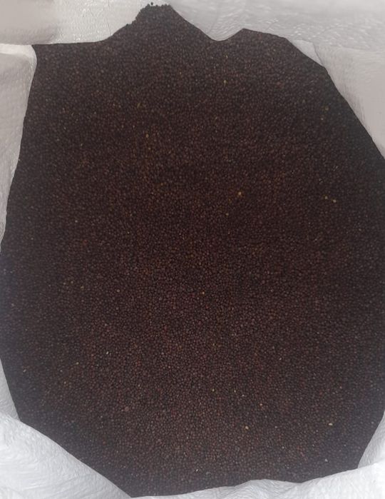 Продам семена капусты Амагер.