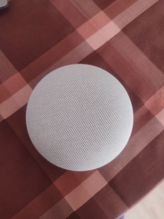 Google Nest Mini