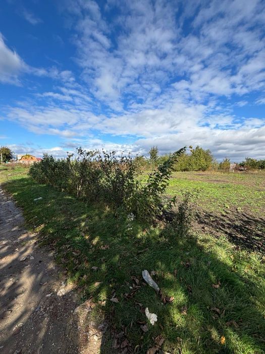 Земельна ділянка