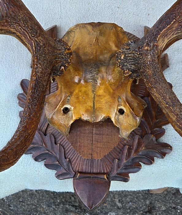 Роги оленя часів срср