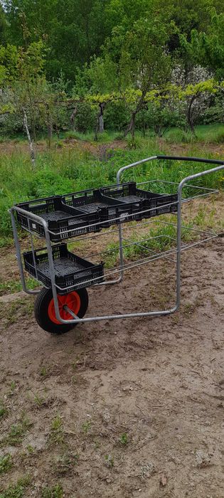 Carrinho de colheita de fruta e hortícolas