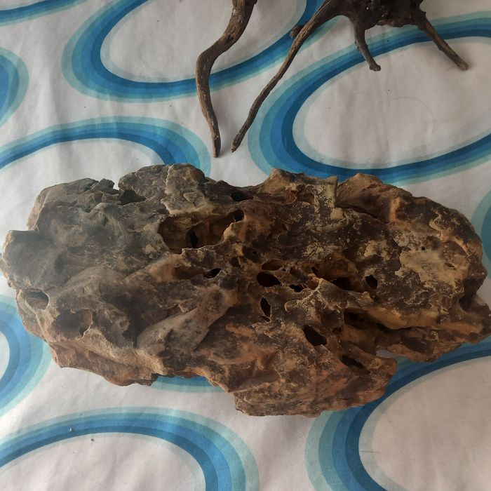 Pedra decorativa aquario