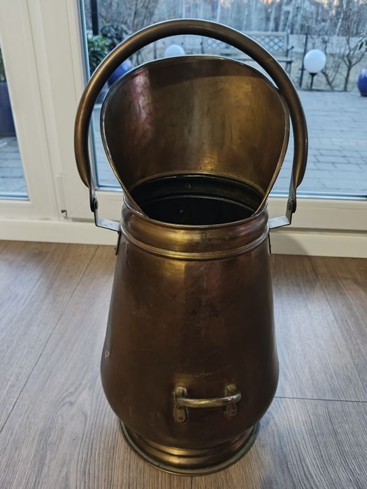 Piękna kanka-parasolnik
