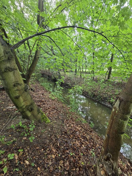 Działka ROD PARK ZIELONA