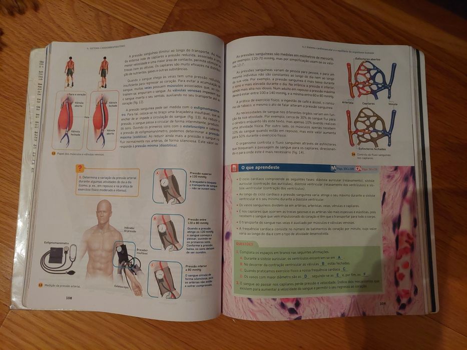 Ciencia & vida 9 ano manual e caderno atividades