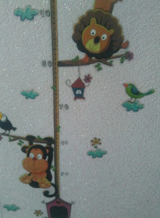 Régua do Crescimento Cartoon Animais
