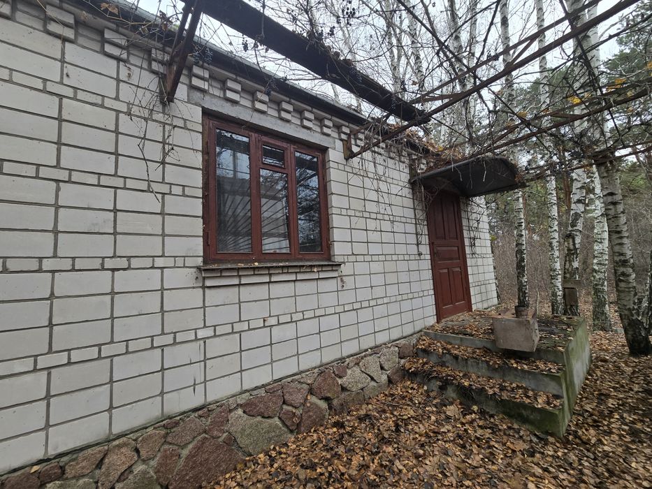 Дача у сосновому лісі біля Дніпра! Стовп’яги, СТ «Славутич»