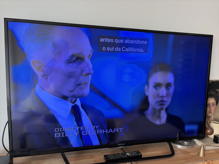 Sony 49” 4K – funcional com risco vertical no ecrã (ver fotos)
