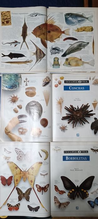 Enciclopédia visual em fascículos