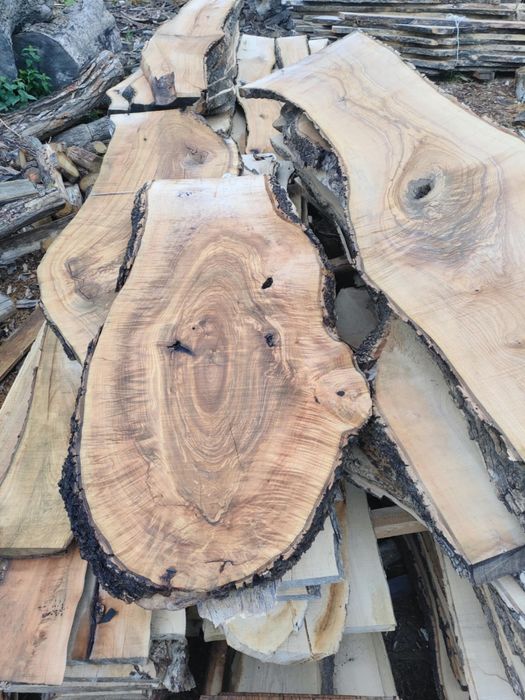 Duże plastry drzewa