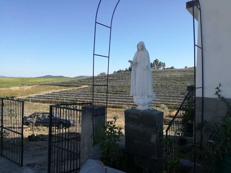 Quinta no Douro com terrenos e casa