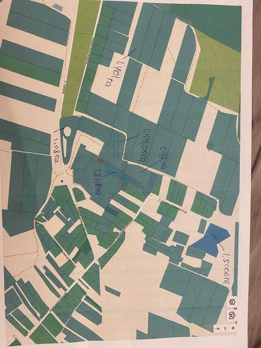 Деревообробне господарство в 50 км від Києва