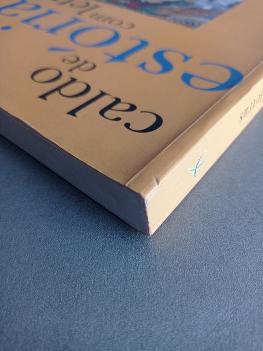 Caldo de estórias com letras