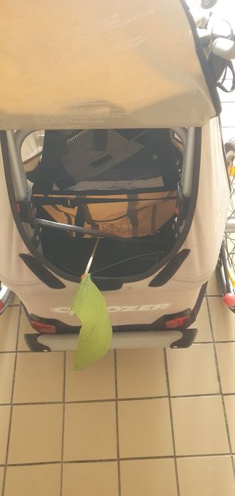 Croozer 737 Child Stroller64286527478530122
