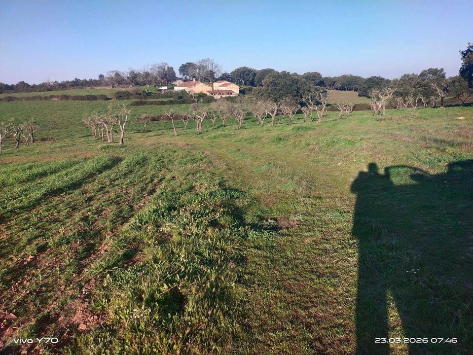 Magnífico monte/herdade, 25 hectares de pura natureza, ideal para quem procura tranquilidade/investimento