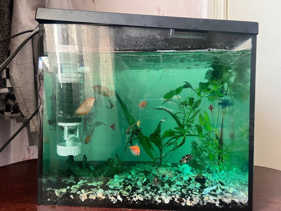 Аквариум на 34 литра