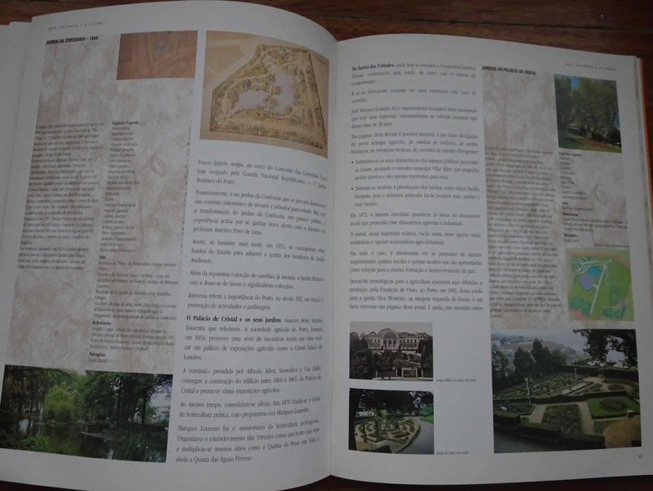 Arte Natureza e A Cidade