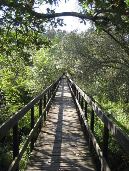 Explicações Filosofia , História, Matemática, Geografia, Inglês...