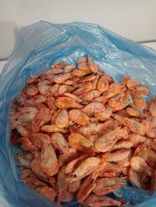 Sprzedam krewetki.opakowanie 5kg