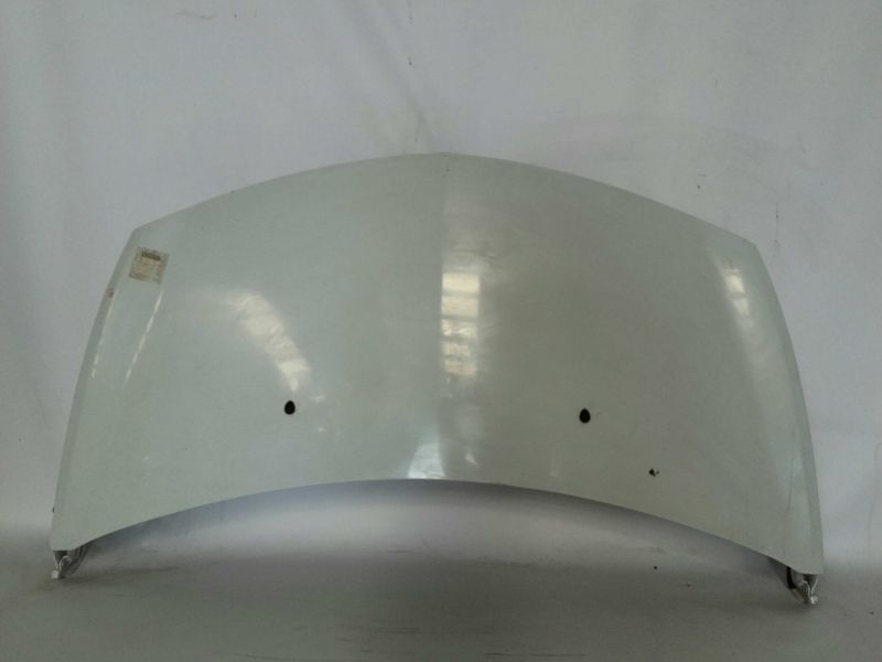 Capot RENAULT Clio III (BR0/1, CR0/1)