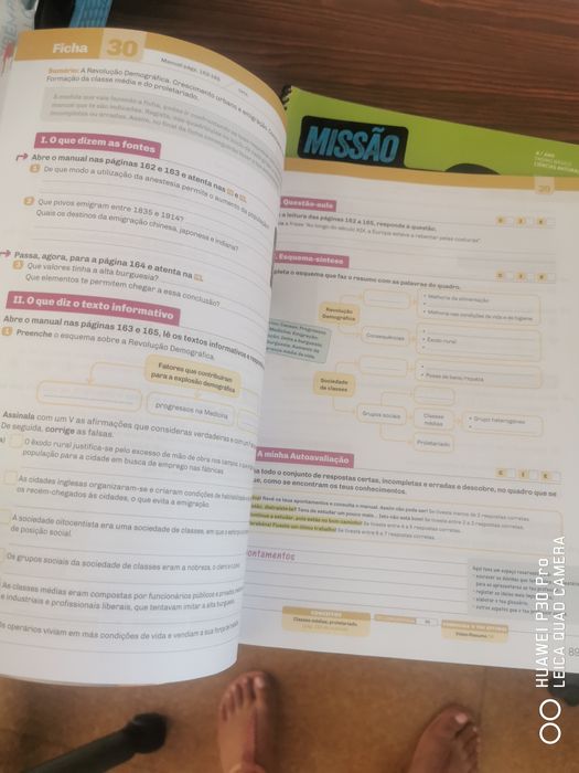 Cadernos de actividades 8 ano