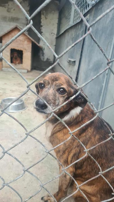 Karmelek i jego biedna mama