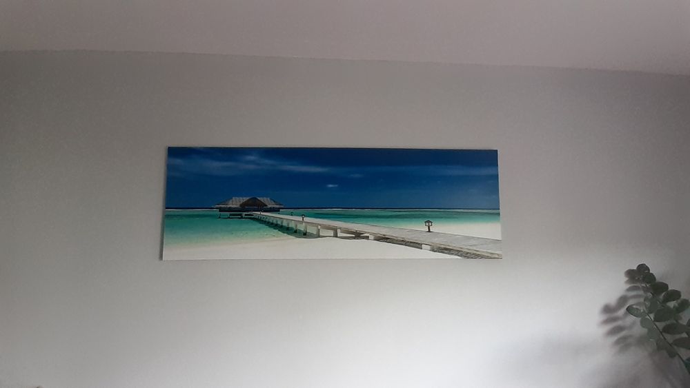 Ładny Duzy Obraz ścienny